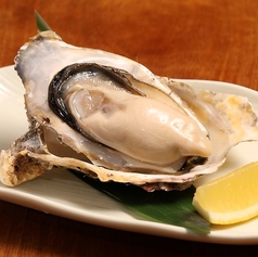 厚岸産 マルえもん 1ケ