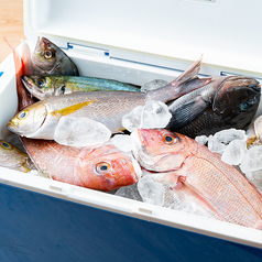 自分で釣った魚の持ち込みもOK！当店で捌きます！