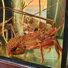 海鮮鉄板 浜海道の雰囲気3