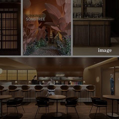 NO LIMIT ノーリミットの雰囲気1