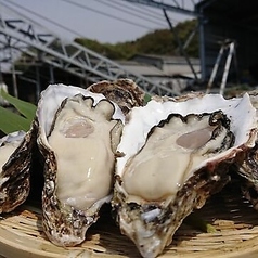 寿司 牡蠣 北千住スシエビスの写真2