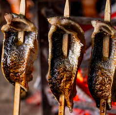 炉端焼きコースを各種ご用意