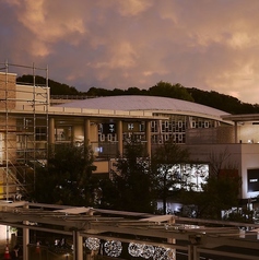 TT" a Little Knowledge Storeの雰囲気3