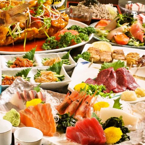 �M������ ���g �V����X