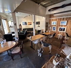 人数に応じてご利用いただけるテーブル席。4名様のテーブルが２テーブル（５名様まで可能）テーブルを繋げて10名様まで対応可能です。店内はペット同伴可能となっておりますので、散歩の合間にお立ち寄りいただけます。