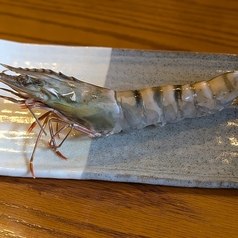 特大海老の塩焼き