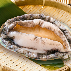 《活》鮑 踊り焼(1個)/《活》鮑 刺し焼き