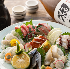 魚貝　日本酒　とよ新　梅田店の特集写真