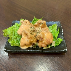 オーロラは裏切らない