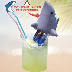 シーサーバイト