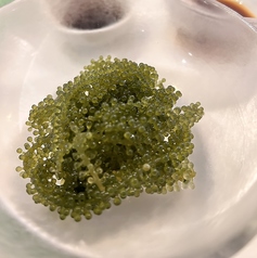 沖縄産海ぶどうシークワーサーポン酢