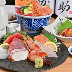 【毎朝市場仕入れの海鮮】新鮮なお造り・寿司・豪華海鮮丼まで◎串カツと一緒になんばで堪能の写真