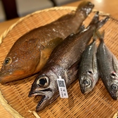 麻布すし旬のおすすめ料理2