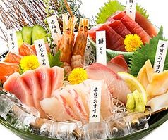 大漁盛り(3～4人前)