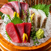 ■三崎港直送｜極上本マグロと旬鮮魚の豪華お刺身盛り