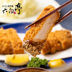 かごしま黒豚 六白亭特集写真1