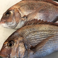 毎日仕入れている鮮魚の刺身★