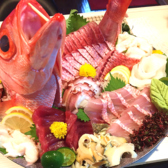 各種ご宴会に♪鮮魚の姿盛り11000円（税込）からご用意あります。慶事やお祝いごと各種宴会に人気です♪