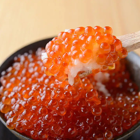 料理長厳選の日替り鮮魚をご賞味あれ！旬の海鮮料理を心ゆくまで堪能くださいませ☆