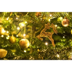 熟成和牛焼肉エイジング ビーフ大宮店のコース写真