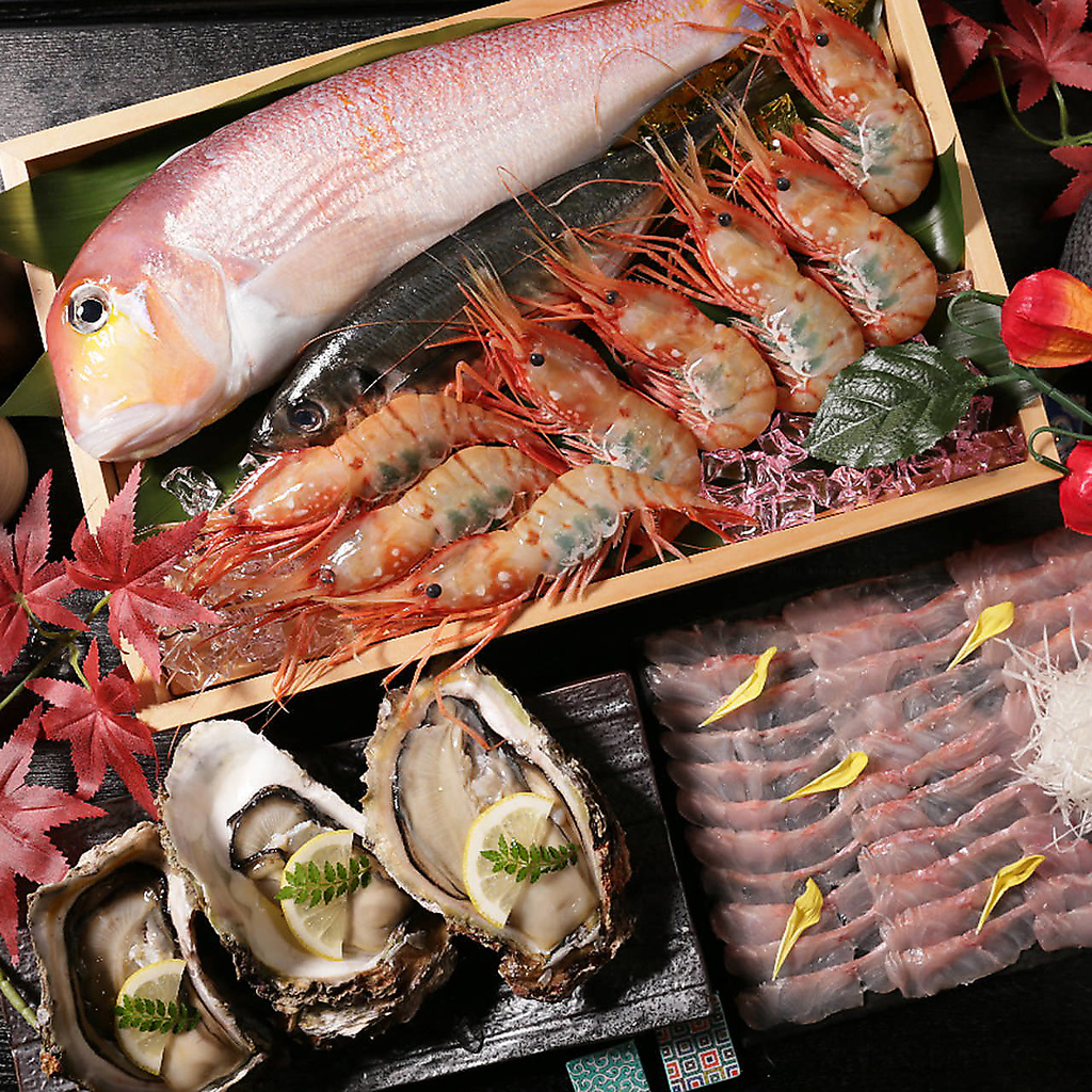 朝獲れ鮮魚をお造りでご提供！飲み放題付きコースを華やかに彩ります！