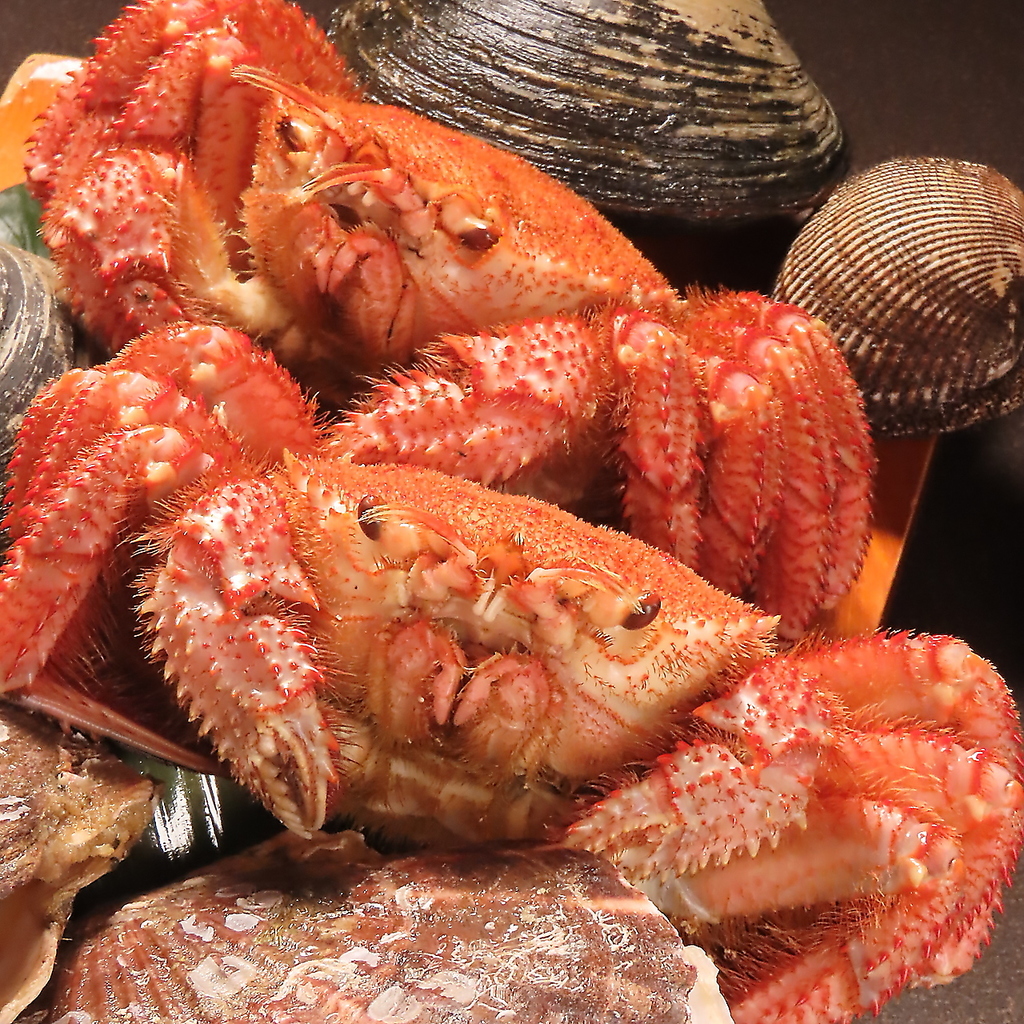 日本料理 寿司一の○の写真ギャラリー