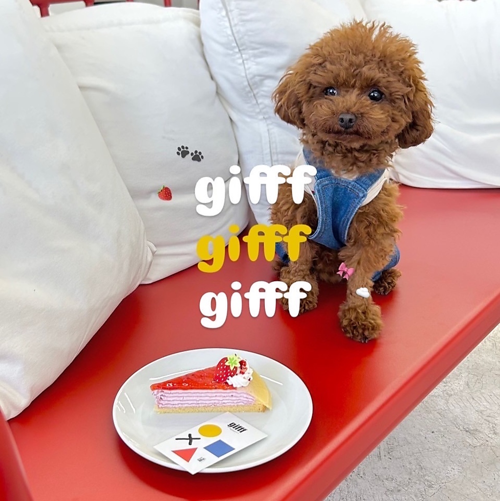 gifff ジフの写真ギャラリー