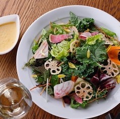 6種の葉野菜と根菜チップのサラダ~BATON特製生野菜ドレッシング~