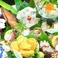 カレーの通販サイト(香川)