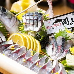 関さばの一本姿造り