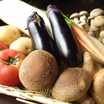 色鮮やかなのは、太陽の恵みをいっぱい受けた証！美味しく気分も晴れやかに♪旬のお野菜も登場です。