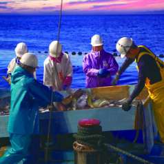 はなの舞 新鎌ヶ谷店の特集写真