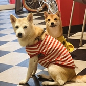 Diner&Hairsalon Hunky Dory ダイナーアンドヘアーサロンハンキードリーの雰囲気2