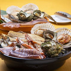 魚河岸料理 ざこばのおすすめポイント1