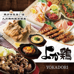 九州鶏居酒屋 よか鶏 筑紫野二日市店の特集写真