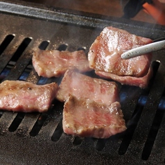 焼肉酒場 蜂ヤのコース写真