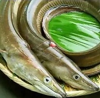 口コミ、グーグルとも大好評！伝統の秘訣は鱧の骨切り。