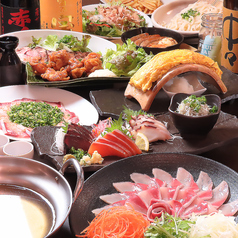 居酒屋ダイニング てんくう 富士駅前店特集写真1