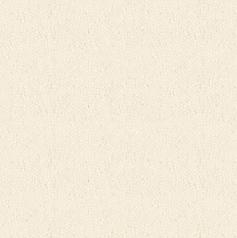 阿波旬彩 たいのたいの特集写真