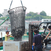 【漁港から直送！】「このお魚ってこんな味だったの？」「食べられなかったのに好きになった！」など驚きの声続出！漁港から直送しているので鮮度が違う！そしてとびきりの鮮魚を熟練の職人がさばくので本当に美味しいのです。是非獲れたての美味しさをお楽しみください♪