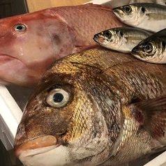 牡蠣以外の食材も生産者さんから直接仕入れ