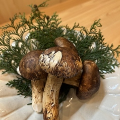 お料理 ます田のコース写真