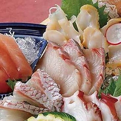 鮮魚 和風創作 越前華丸 野々市店の特集写真
