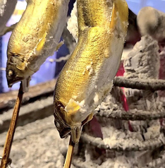 炙ジビエ 御吉兆 名古屋栄店のおすすめ料理3