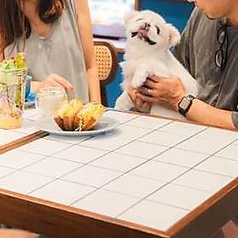 店内でもワンちゃんと一緒にお食事が楽しめます。テラスは大型犬もOK！ゆったりとお寛ぎください♪