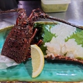料理メニュー写真&nbsp;伊勢海老 100gあたり