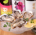 料理メニュー写真&nbsp;本日の生かき