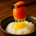 〆の一品☆新鮮京地鶏の玉子を使用【地玉子かけごはん】