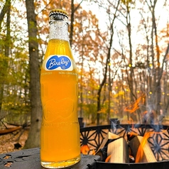 バヤリースオレンジ(瓶)