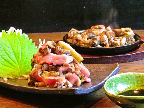本場、九州の味と素材にこだわるお店。札幌初の地鶏屋が22年培った伝統の味！